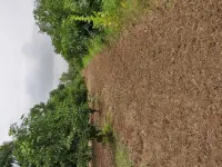 Agricultural Land for Sale in Kasbapar, Navsari