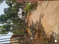  Agricultural Land for Sale in Alibag, Raigad