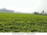  Office Space for Sale in Bistupur, Jamshedpur