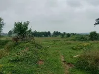  Residential Plot for Sale in Mopka, Bilaspur