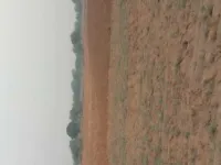  Agricultural Land for Rent in Dudu, Jaipur
