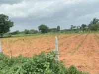  Agricultural Land for Sale in Kohir, Sangareddy