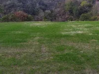  Agricultural Land for Sale in Bangana, Una