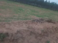  Agricultural Land for Sale in Malur, Bangalore