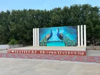  Residential Plot for Sale in Sarpavaram, Kakinada