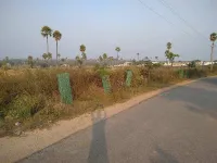  Agricultural Land for Sale in Choutuppal, Yadadri Bhuvanagiri