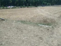  Agricultural Land for Rent in Ranipokhari, Dehradun