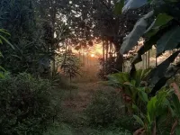  Agricultural Land for Sale in Sonkatch, Dewas