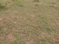  Residential Plot for Sale in Tenali, Guntur