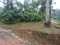  Agricultural Land for Sale in Panamaram, Wayanad