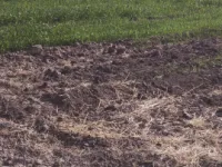  Agricultural Land for Sale in Viramgam, Ahmedabad