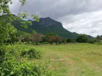  Agricultural Land for Sale in Ramnagar, Nainital