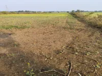  Agricultural Land for Sale in Bilkisganj, Sehore