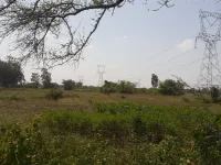  Agricultural Land for Sale in Barkheda, Bhopal