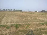 Agricultural Land for Sale in Kharar, Mohali