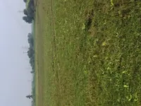  Agricultural Land for Sale in Yerpedu, Tirupati
