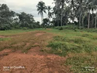 Commercial Land for Sale in Iritty, Kannur