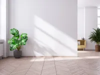 3 BHK Flat for Rent in Thana, Kannur