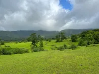  Agricultural Land for Sale in Bhor, Pune
