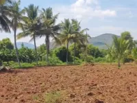  Agricultural Land for Sale in Mysore Road, Bangalore