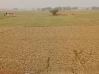 Agricultural Land for Sale in Allahabad Varanasi Road
