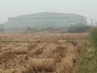  Industrial Land for Sale in Gannavaram, Krishna