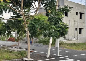 Residential Plot for Sale in Mettur, Salem