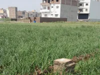  Residential Plot for Sale in Jaganpura, Patna
