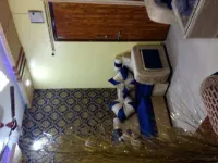 2 BHK Flat for Sale in Ashoka Garden, Bhopal