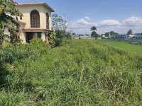 Agricultural Land for Sale in Ramnagar, Nainital