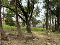  Agricultural Land for Sale in Nagaon, Alibag, Raigad