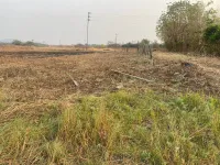  Agricultural Land for Sale in Nagaon, Alibag, Raigad