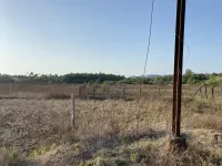  Residential Plot for Sale in Nagaon, Alibag, Raigad