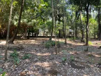 Residential Plot for Sale in Nagaon, Alibag, Raigad