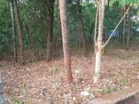  Residential Plot for Sale in Kunnamkulam, Thrissur
