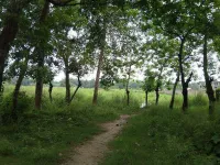 Residential Plot for Sale in Mayapur, Nadia
