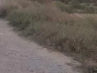 10 BHK Farm House for Sale in Azamgarh Road, Varanasi