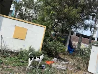  Residential Plot for Sale in Gachibowli, Hyderabad