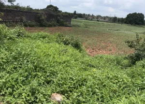 Residential Plot for Sale in Kandukur, Rangareddy