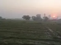  Agricultural Land for Sale in Bhagwanpur, Haridwar