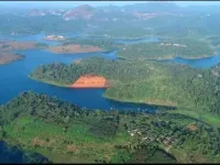 Commercial Land for Sale in Ambalavayal, Wayanad