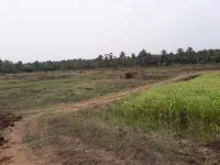  Agricultural Land for Sale in Chittur, Palakkad