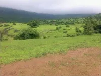  Agricultural Land for Sale in Velhe, Pune