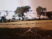  Agricultural Land for Sale in Chikhodra, Anand