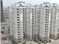 3 BHK Flat for Rent in Sector 37D Gurgaon