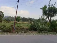  Agricultural Land for Sale in Bhaniawala, Dehradun