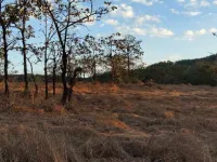  Agricultural Land for Sale in Sangameshwar, Ratnagiri