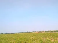  Agricultural Land for Sale in Jath, Sangli