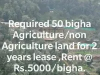  Agricultural Land for Rent in DEHRADUN, Dehradun, Dehradun