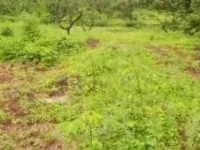  Agricultural Land for Sale in Tehri, Tehri Garhwal